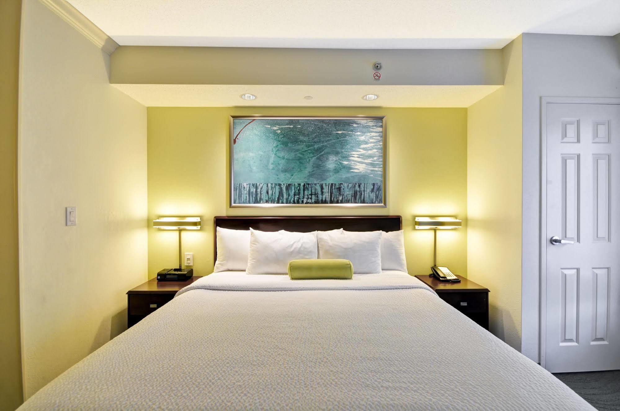 Springhill Suites Lexington Near The University Of Kentucky מראה חיצוני תמונה